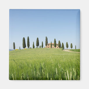 Aimant Ferme en Toscane avec l'aimant de cyprès