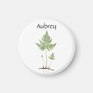 Aimant Ferme simple,