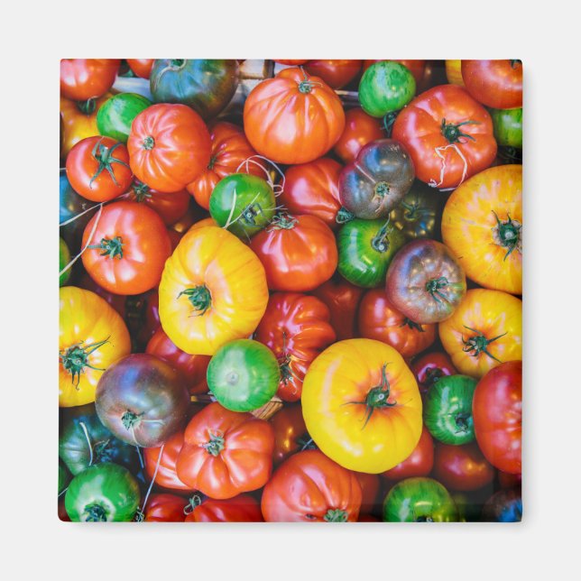Aimant Fermes | Récolte colorée de tomates (Devant)