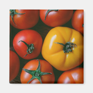 Aimant Fermes Tomates rouges et jaunes brillantes