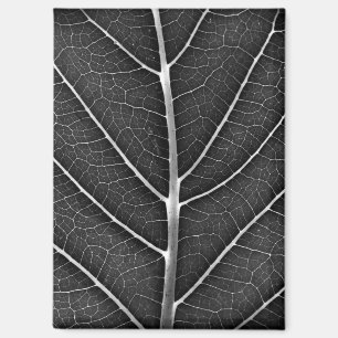 Aimant Fermeture de la feuille brillante noire et blanche