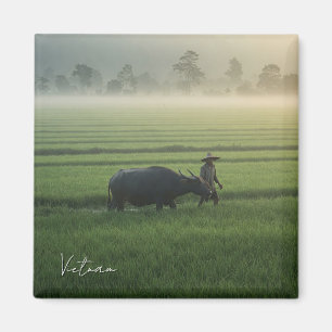 Aimant Fermier avec un Buffalo Vietnam Travel