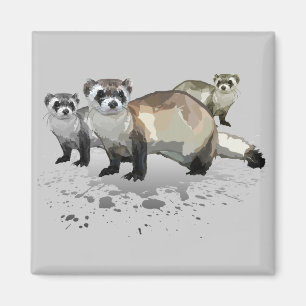 Aimant Ferrets