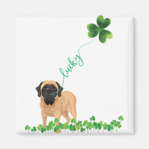 Aimant Fête de la Saint Patrick du Shamrock Ma Dog