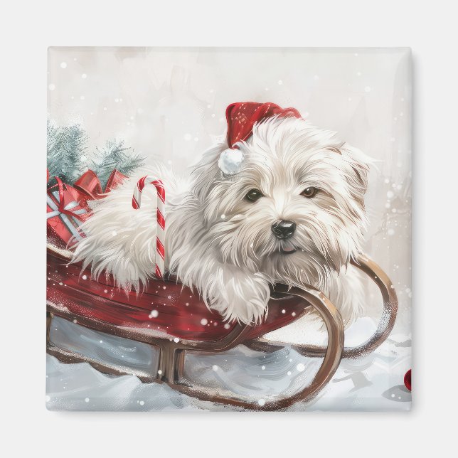 Aimant Fête de Noël de Chien de Coton De Tulear (Devant)