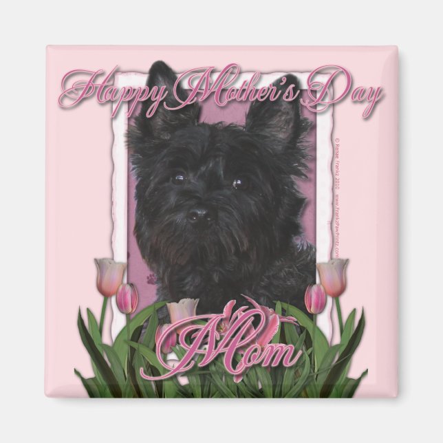 Aimant Fête des mères - Tulipes roses - Cairn Terrier - R (Devant)