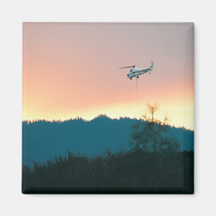 Aimant Feu de Wallows de 2007...