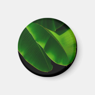 Aimant Feuille de bananier verte vibrante Tropical rappro