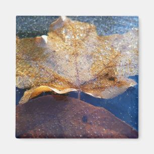 Aimant Feuille de érable jaune gelée Automne Nature