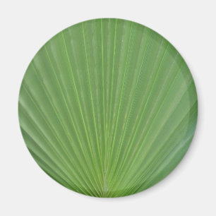 Aimant Feuille de palme