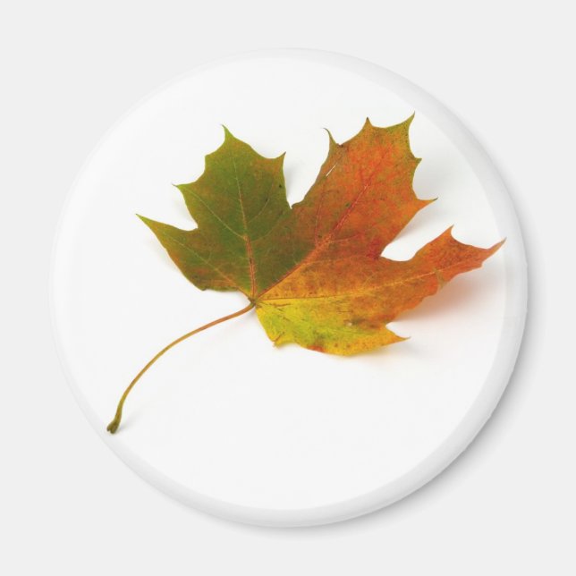 Aimant feuille d'érable (Devant)