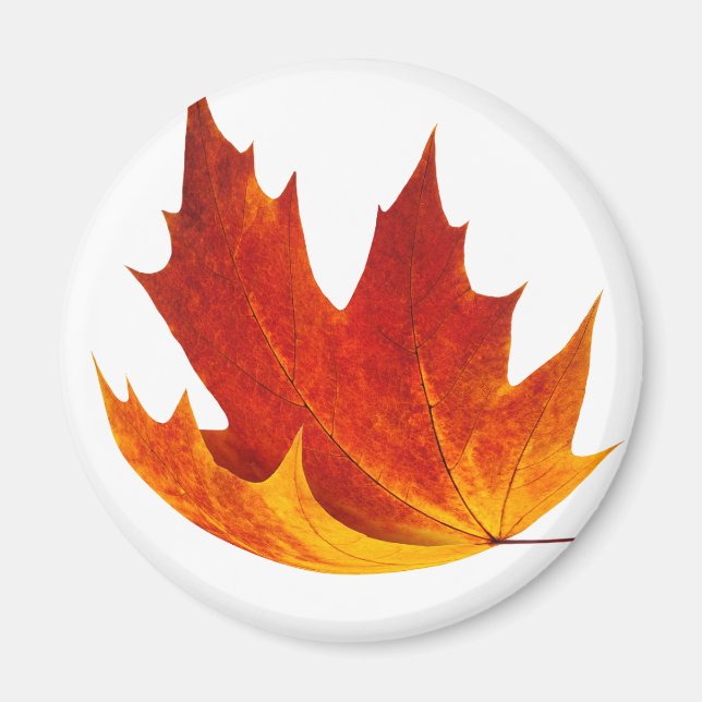 Aimant Feuille d'érable rouge (Devant)