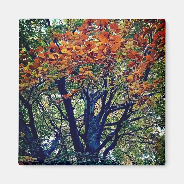 Aimant Feuille orange (Devant)