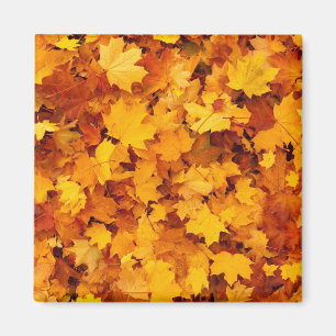 Aimant Feuilles d'automne