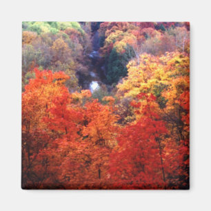 Aimant Feuilles d'automne changeant de couleur