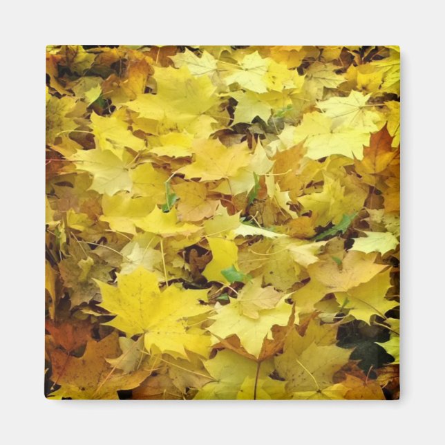 Aimant Feuilles d'automne jaunes (Devant)