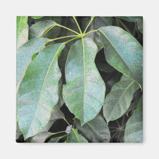 Aimant Feuilles de jardin