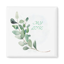 Feuilles de l'Eucalyptus vert