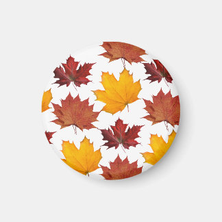 Aimant Feuilles d'érable de l'automne