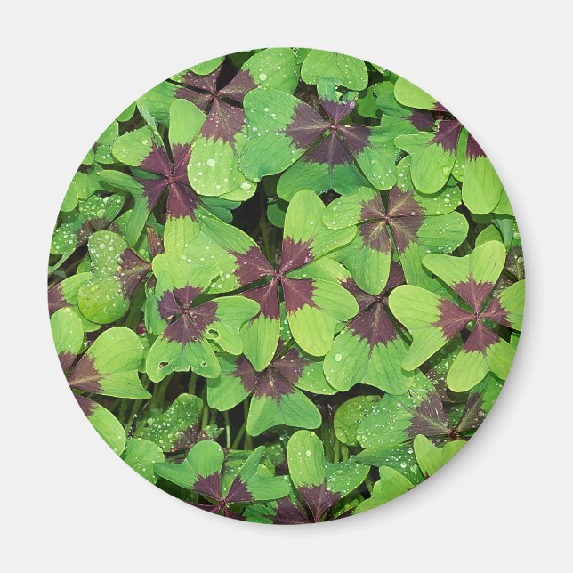 Aimant Feuilles verts (Devant)