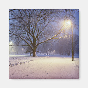 Aimant Feux de rue et couvert de neige