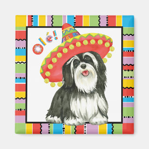 Aimant Fiesta Havanese