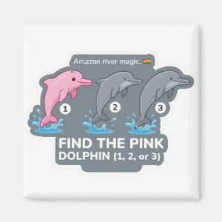 Aimant Find the Pink Dolphin Animal World Quest for Toddl