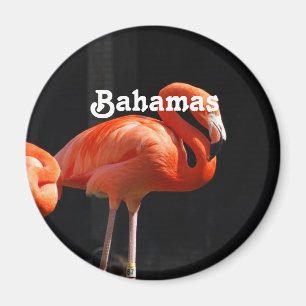 Aimant Flamant rose bahamien