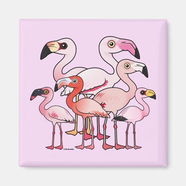 Aimant Flamboyance (Devant)