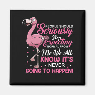 Aimant Flamingos People Should Stop Expecting Normal