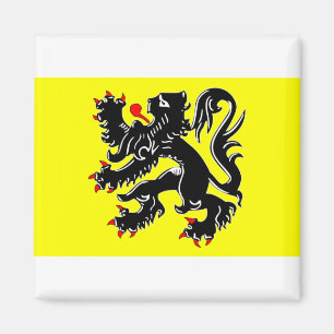 Aimant flandre, drapeau de la belgique