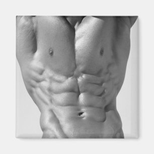 Aimant fléchi d'ABS