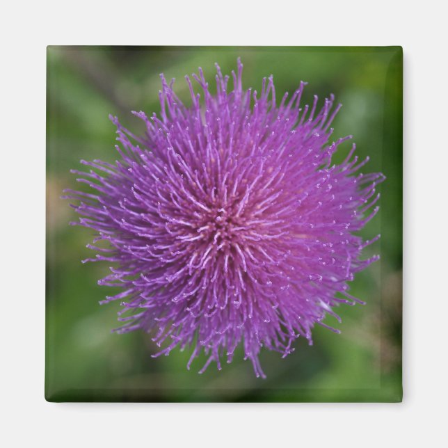 Aimant Fleur (Devant)