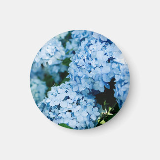 Aimant Fleur