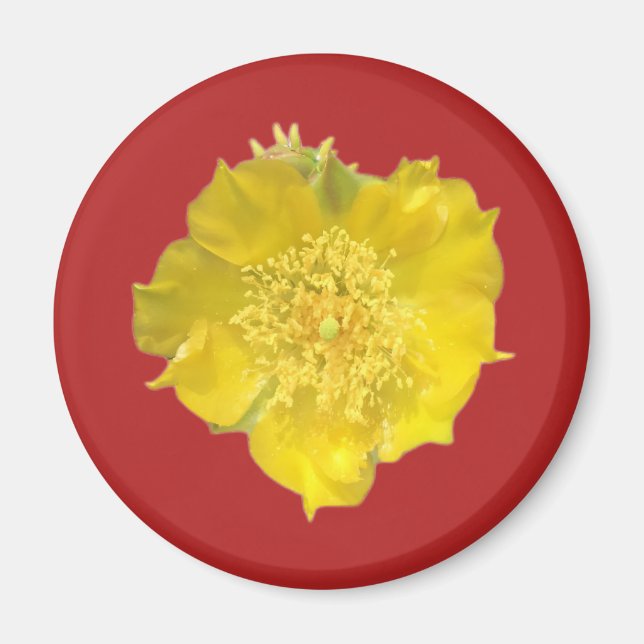 Aimant Fleur Cactus (Devant)