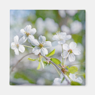Aimant Fleur cerise blanche