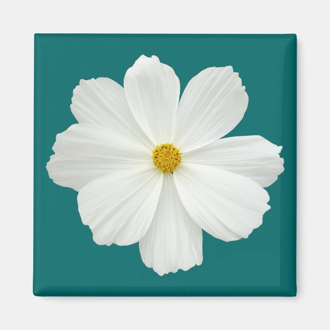 Aimant Fleur Cosmos Blanc (Devant)