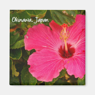 Aimant fleur d'aimant