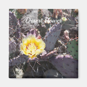 Aimant Fleur de cactus jaune au printemps