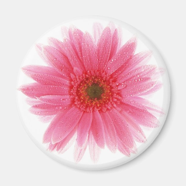 Aimant Fleur de Gerbera rose profonde (Devant)