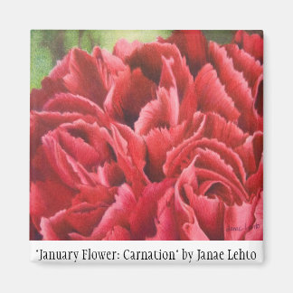 Aimant "Fleur de janvier : Carnation"