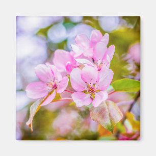 Aimant Fleur de pomme rose