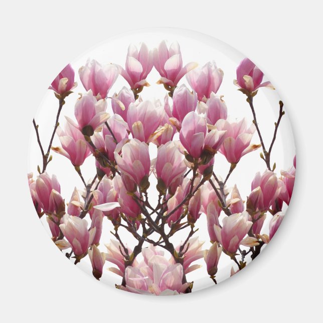 Aimant Fleur de printemps rose florissante Magnolias (Devant)