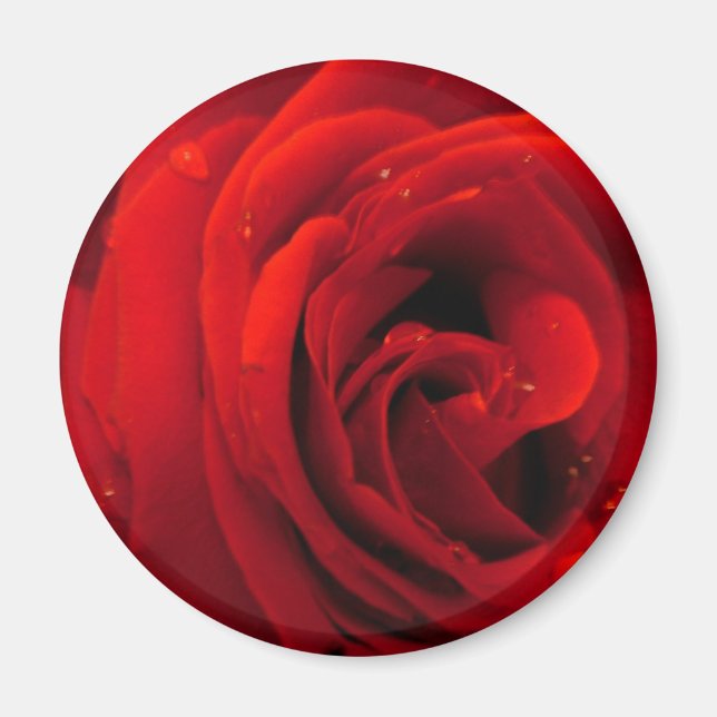 Aimant Fleur de rose rouge (Devant)