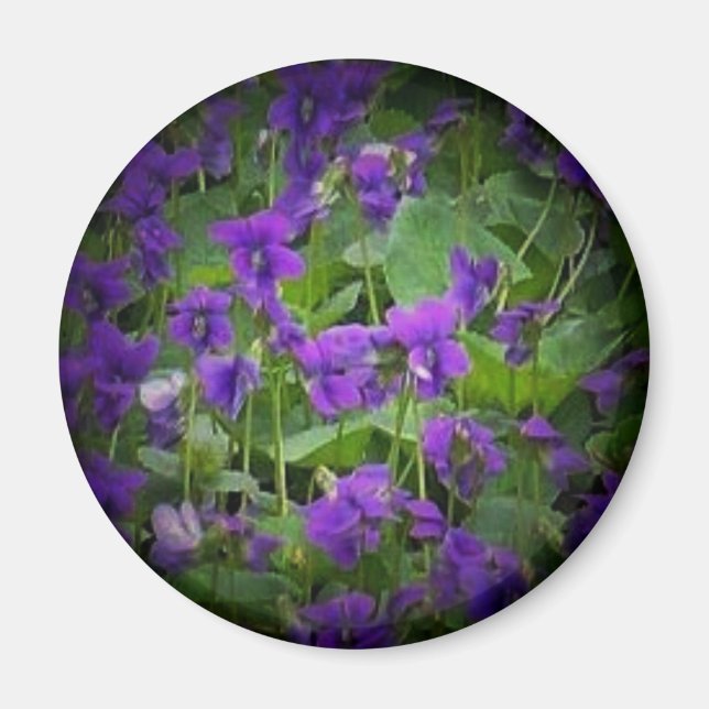 Aimant Fleur d'État du Wisconsin : Lumière de violet de b (Devant)