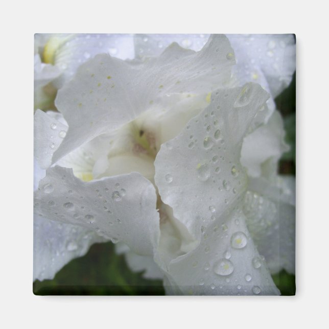Aimant fleur d'Iris (Devant)