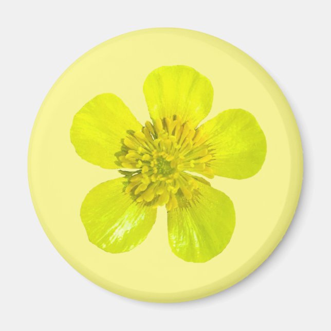 Aimant Fleur en beaming Buttercup - transparent. (Devant)