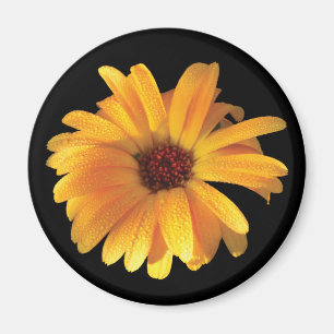 Aimant Fleur et rosée jaunes
