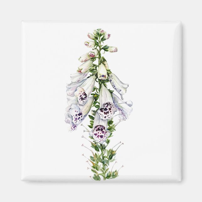 Aimant Fleur Foxglove (Devant)