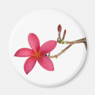 Aimant Fleur Frangipani rouge